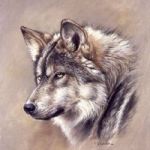 GreyWolfLaw profile avatar