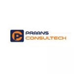 praansconsultech profile avatar