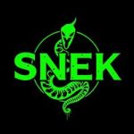 The Rise and Fall of Toxic Snek post