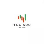 TGG 500 represents the 500 largest TRUEHN companies post